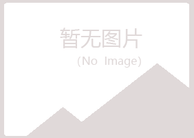 顺河回族区夏岚能源有限公司